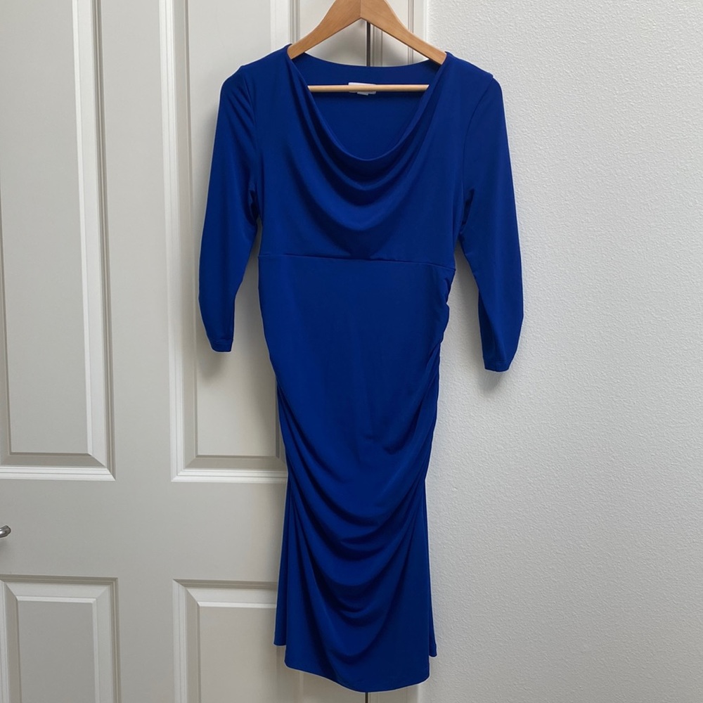 A Pea in the Pod maternity Dress